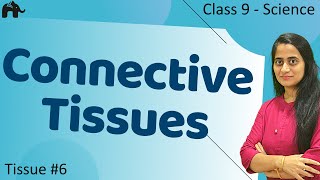 Connective Tissues Tissues6  Class 9 Science [upl. by Cristin]