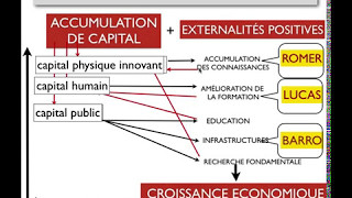 CROISSANCE ENDOGÈNE [upl. by Ahtamas]