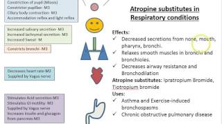 Anticholinergics [upl. by Ji]