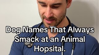 Dog Names That Always Smack at an Animal Hopsital [upl. by Senhauser]