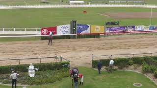 Gympie 25112023 Race 1 [upl. by Betthezel]