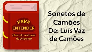 Para Entender  Sonetos  Vestibular Unicentro 2024 [upl. by Ahsietal775]