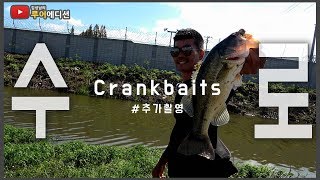 Bass Fishing 루어에디션76본 촬영이 끝난 후 수로 추가 촬영 포인트 예술 LUNKER MEGABASS staff [upl. by Fritzsche]