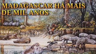 A MARAVILHOSA MEGAFAUNA DE MADAGASCAR [upl. by Anier]