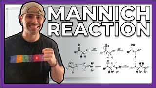 The Mannich Reaction Mechanism  Rxn Practice [upl. by Poyssick933]