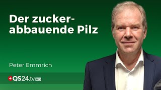 Coprinus Der Pilz der sogar bei Diabetes hilft  Facharzt Peter Emmrich  Naturmedizin  QS24 [upl. by Tierell]