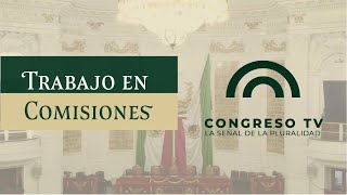 🔴 EnVivo  Primera Sesión Ordinaria de la Comisión de Preservación del  29 de Octubre de 2024 [upl. by Berman]