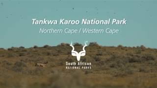 Tankwa Karoo National Park [upl. by Seymour]