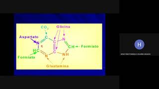 METABOLISMO DE NUCLEÓTIDOS Dr Fredy Zegarra Grupo b [upl. by Fern]