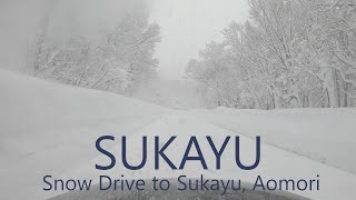 4K SUKAYU 酸ヶ湯 The Snowiest Place in Japan  Drive from Central Aomori City to Sukayu  青森市街→酸ヶ湯 [upl. by Oirazan211]