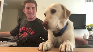 Quadriplegic Talks About His Faith Before and After injury  Service Dog  and More [upl. by Eux]