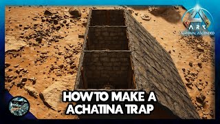 How to Make a Achatina Trap in Ark Survival Ascended [upl. by Deppy]