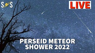 Perseid Meteor Shower 2022 Live [upl. by Tremayne]