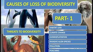 biodiversity Causes of biodiversity Loss [upl. by Ellehsor]