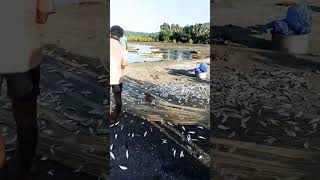 Tarini March Charan hote dekhechi aiseAndamanfishing [upl. by Llecrup]