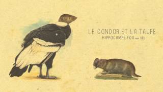 07  LE CONDOR ET LA TAUPE Hippocampe Fou feat céo [upl. by Tayib868]