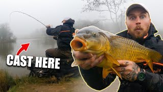 Learn to Method Feeder Fish for BIG CARP [upl. by Werdna]