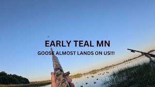 Early Teal MN GOOSE Almost LANDS On US [upl. by Odnalor846]