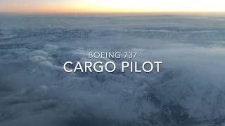 737 cargo pilot [upl. by Lordan245]