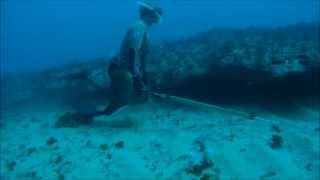 Pesca Submarina no Algarve  Spearfishing in Algarve  Portugal  GoPro HD Hero [upl. by Fortna110]