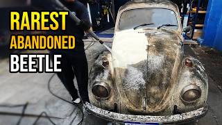 THIS IS THE WORLD’S RAREST BEETLE  CAR WASHING [upl. by Pollux418]