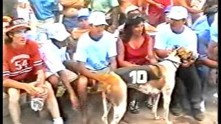 ADRIANO campeon nacional del galgo 2002 SOYGALGUEROFOROARGENTINANET [upl. by Hugues]