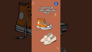 Keep Your Shoes Smelling Fresh shorts hack shoes tea [upl. by Ivie]