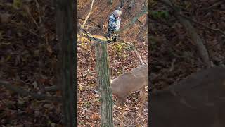 Matt tags a nice Wisconsin buck [upl. by Rodie571]