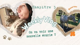 Les juments reprennent les couleurs de lautomne 5 WEEKLY VLOG S2 [upl. by Theall]