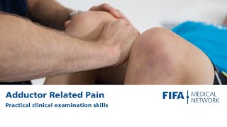 Adductor Related Pain  Practical Clinical Examination Skills [upl. by Neerroc]