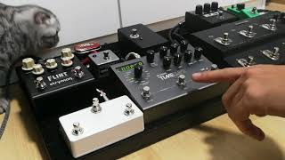 DIY MultiSwitch for Strymon Timeline Bigsky and Mobius Gear Test [upl. by Atteuqehs]