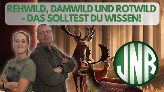 Rehwild Damwild Rotwild Diese Unterschiede solltest du bei der Jagd wissen [upl. by Wende]