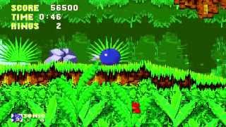 Sonic The Hedgehog 3 amp Knuckles  Sonic  Angel Island Zone Act 1 [upl. by Shapiro]