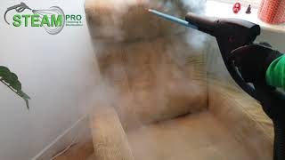 Steam cleaning a sofa before and after transformation [upl. by Ungley]