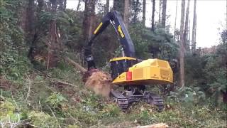 Felling Head SATCO SAT325E on Tigercat LS855C [upl. by Atilemrac]