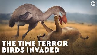 The Time Terror Birds Invaded [upl. by Yednarb]