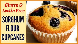 The best Soft amp Delicious Sorghum Flour جوار آٹا Blueberry Cupcake Muffins Gluten amp LectinFree [upl. by Yatnohs]