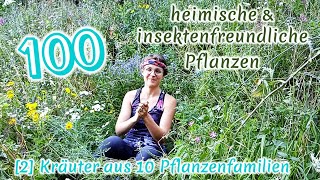 100 heimische amp insektenfreundliche Pflanzen 24 Pflanzen und Standortkunde  BestäuberWissen [upl. by Petersen]