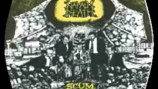 Napalm Death  You Suffer slowed to 43 secondswmv [upl. by Nedmac]