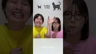 Small Cat Big Cat Challenge shorts viral youtubeshorts [upl. by Akihsat357]