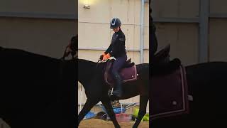 Common mistakes in rising trot Posting trot equestrian horseriding [upl. by Anilah]