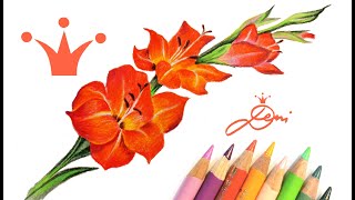 Gladiole zeichnen lernen 🌹 Blume Zeichnung Schwertblume 🌹 realistisch und schnell 🌹 drawing flower [upl. by Kaazi]