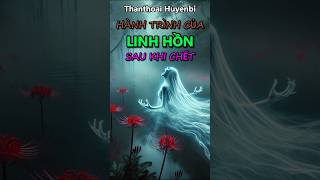 Hành trình linh hồn sau chết trungquoc thanthoai phimhay anime reviewphim bingan animeshorts [upl. by Ydennek]