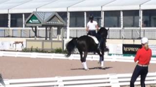 How To Do Canter Pirouettes With Robert Dover and Debbie McDonald [upl. by Conn]