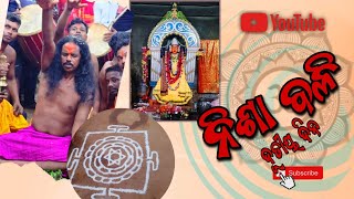 Mahabali Jatra Sonepur ନିଶା ବଳି 2024sonepur [upl. by Drawe773]