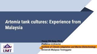 Artemia tank cultures experience from Malaysia [upl. by Hadihahs967]