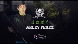 Arley Perez  El Mini 6 [upl. by Zalea356]