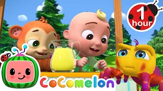 Itsy Bitsy Spider  CoComelon Animal Time  Learning with Animals  Nursery Rhymes for Kids [upl. by Ardiekal]