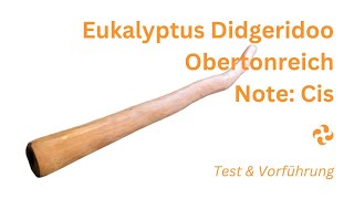 Obertonreich amp Meditativ Dieses Eukalyptus Didgeridoo in der Note Cis ist ein Klangwunder [upl. by Enia682]