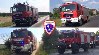 🚨 Großeinsatz der Feuerwehr 800 Hektar in Flammen Waldbrand bei Jüterbog [upl. by Maghutte]